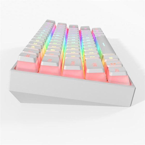 MK61 Gaming Keyboard RGB Backlit Hot Swappable Gateron Switches Type-C Wired