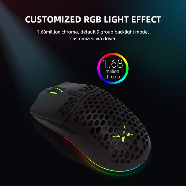 Delux M700 Honeycomb Shell Lightweight RGB Gaming Mouse